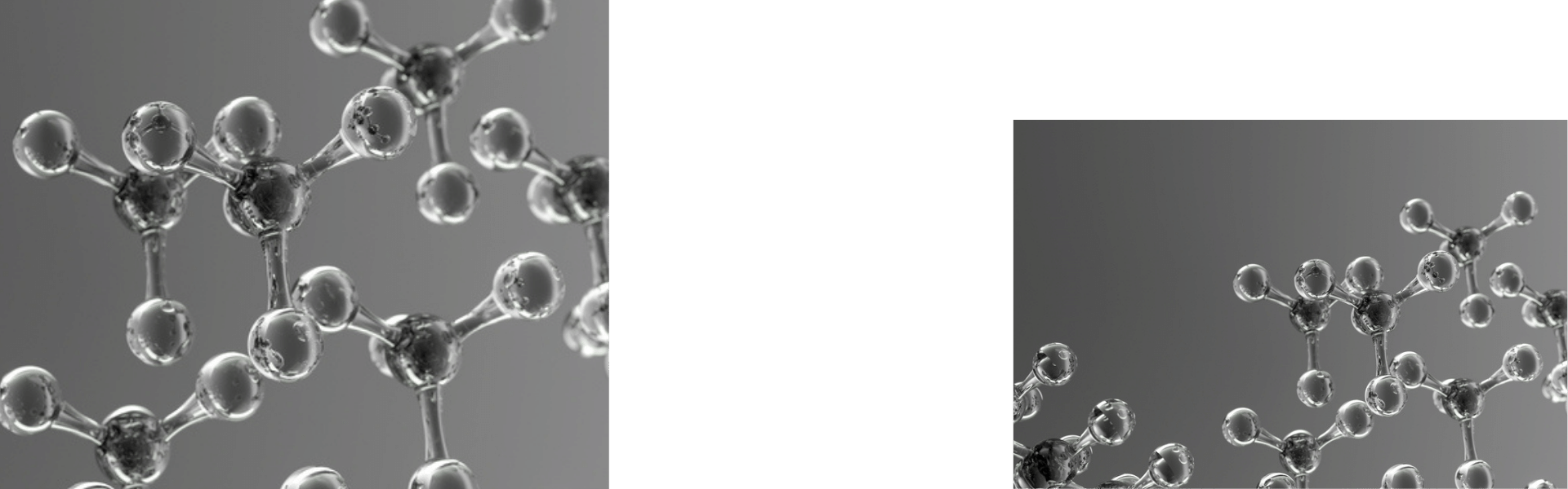 B&C Consortia Management Services B&C® Consortia Management, L.L.C.